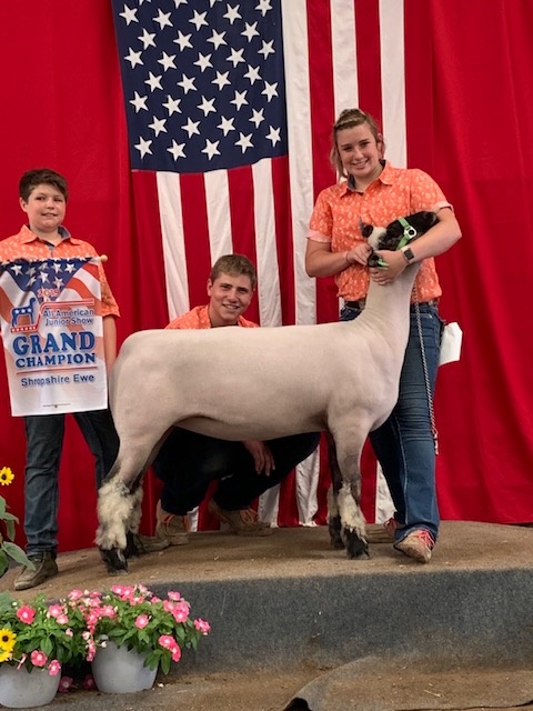 City Limits Winners